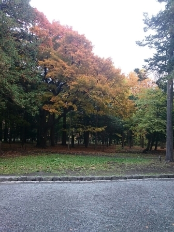 c0311170_12070008.jpg