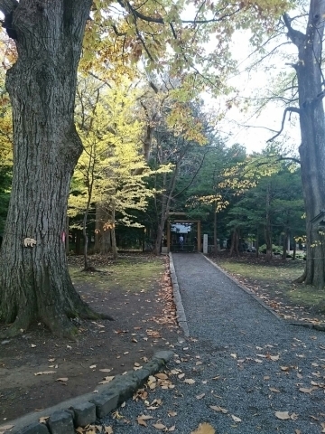 c0311170_12070105.jpg