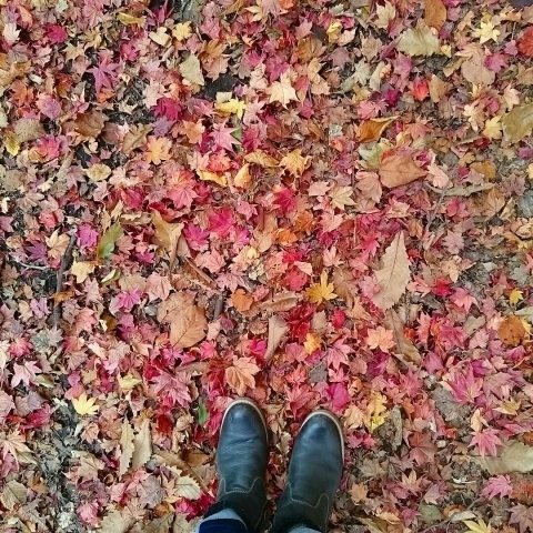 c0311170_12070582.jpg