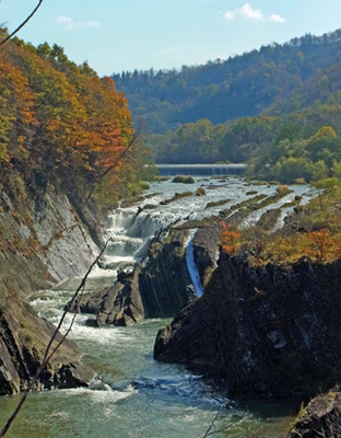 f0083977_06573746.jpg