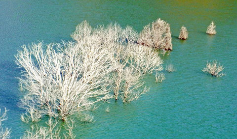 f0083977_07115200.jpg
