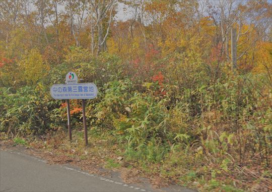 b0346378_11013954.jpg