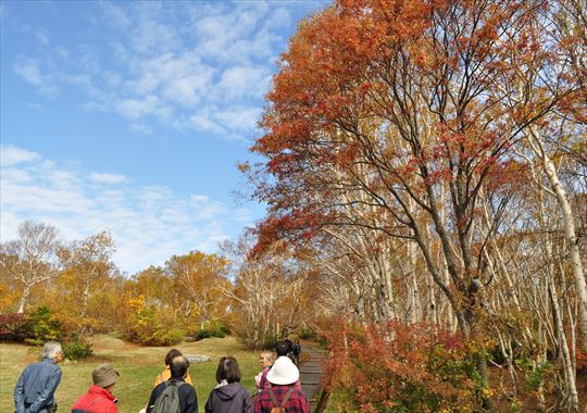 2017秋　青森旅行 10/14 その3_b0346378_11430025.jpg