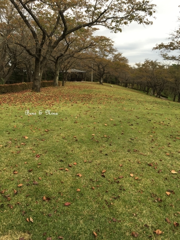c0283778_16195779.jpg