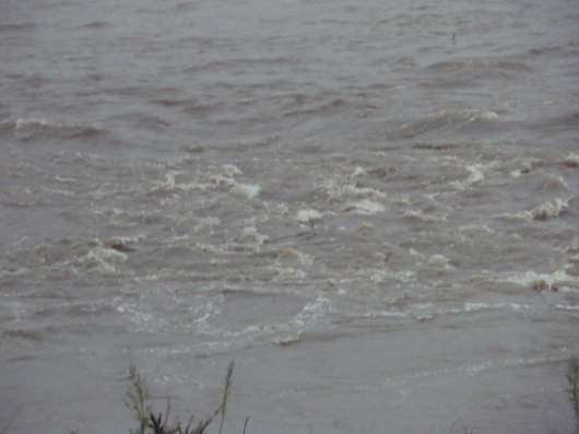 c0069380_15405968.jpg