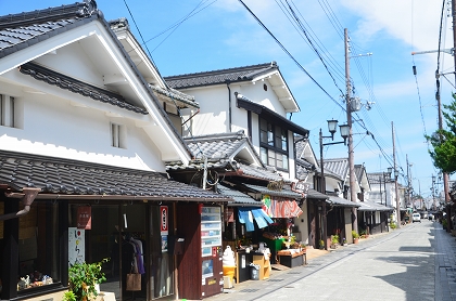 ★篠山城跡 城下町の佇まい_c0229483_1344517.jpg