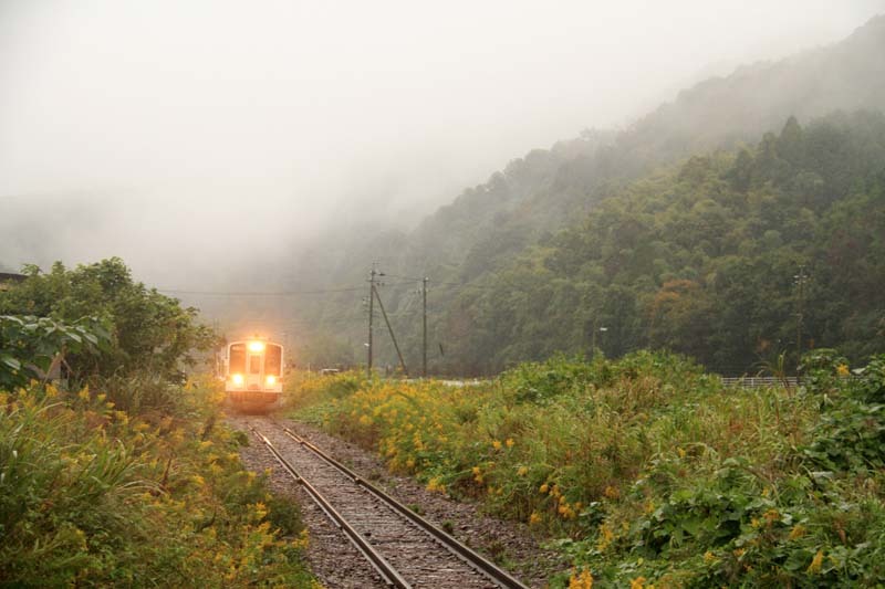 雨が続いて_c0177785_05503320.jpg