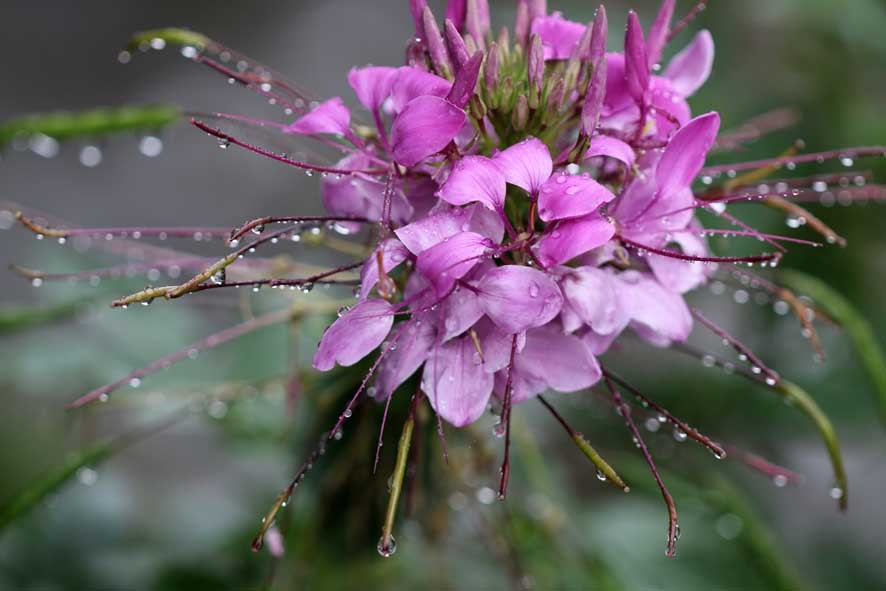 雨の日_d0371585_19411689.jpg