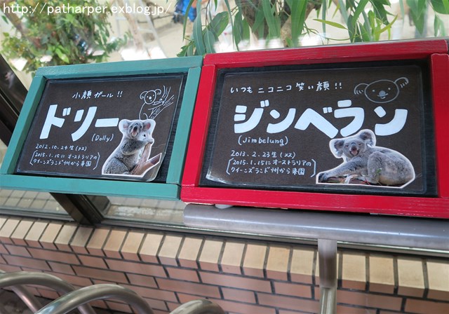 2017年10月 SCZ その4_a0052986_915843.jpg