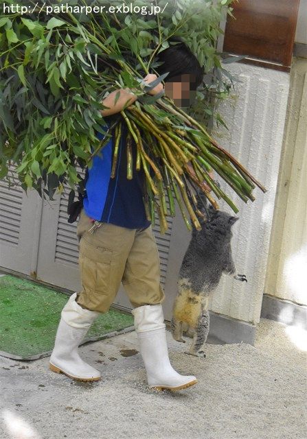 2017年10月 SCZ その4_a0052986_9203773.jpg