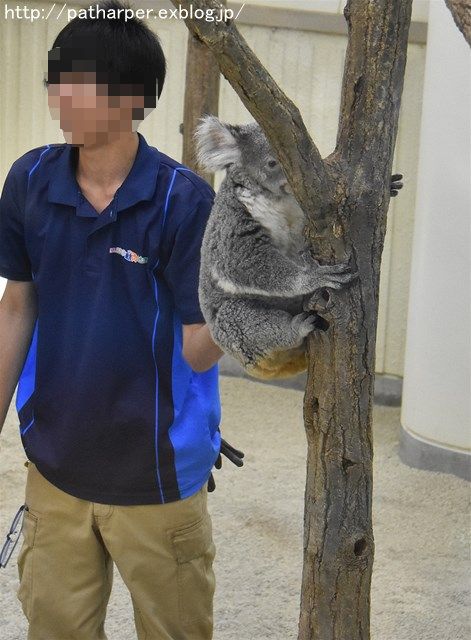 2017年10月 SCZ その4_a0052986_922354.jpg