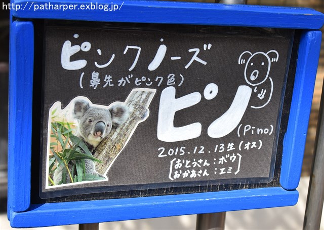 2017年10月 SCZ その4_a0052986_9485892.jpg