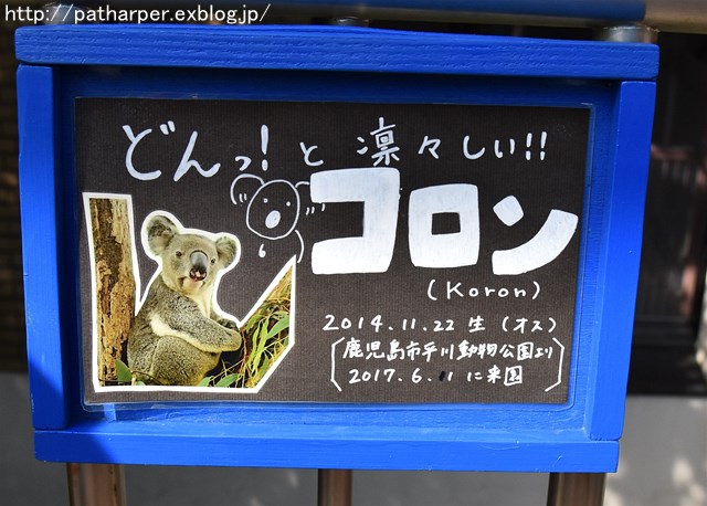 2017年10月 SCZ その4_a0052986_949489.jpg