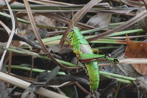 f0212586_20134734.jpg