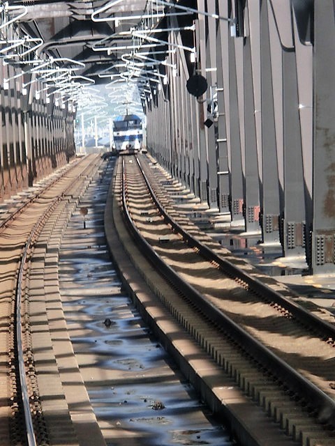 藤田八束の鉄道写真@鉄橋を渡る貨物列車桃太郎・・・加古川鉄橋と貨物列車の写真_d0181492_14445815.jpg