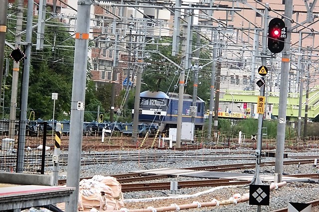 d0181492_14575601.jpg