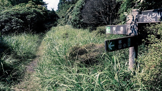 e0176993_07273117.jpg