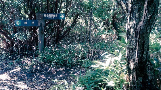 e0176993_07273176.jpg