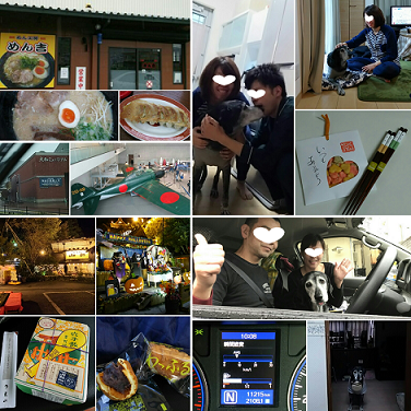 d0282395_20463500.png