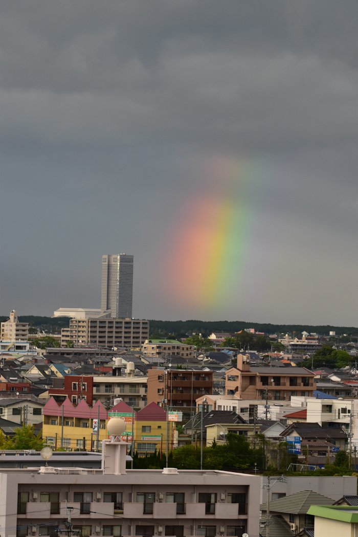 雨です 台風です たいへんです(^_^;)_c0049299_23071369.jpg