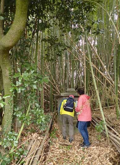 竹林の屋敷神（土地神様）_d0361999_10450453.jpg