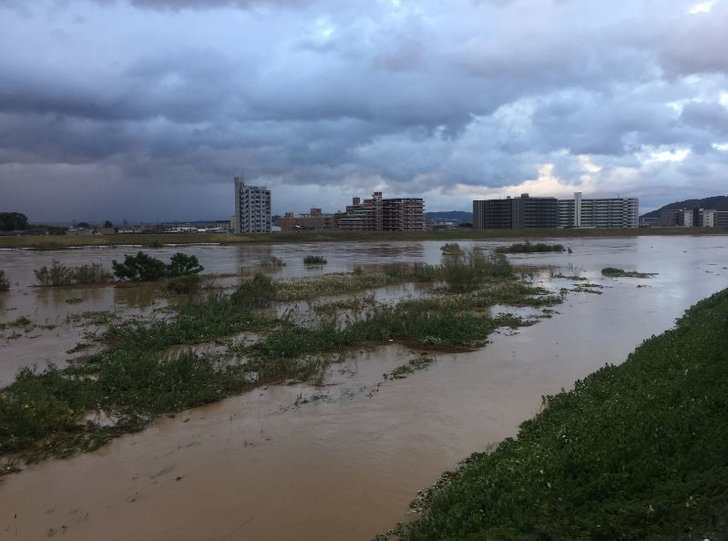 2017/10/23　台風21号通過後の淀川_b0362900_21455873.jpg