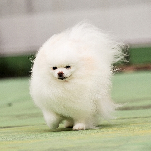 たちむかう こころ_d0360206_00220907.jpg