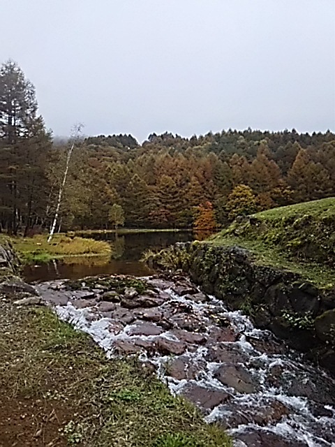 f0316507_09372295.jpg