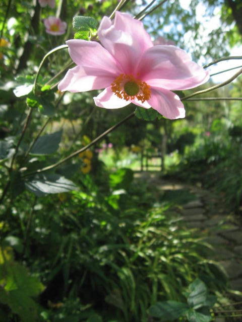 c0062511_21274838.jpg