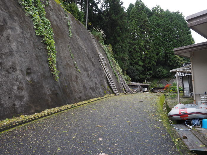 曇りのち晴れ(台風一過)_c0116915_23461720.jpg