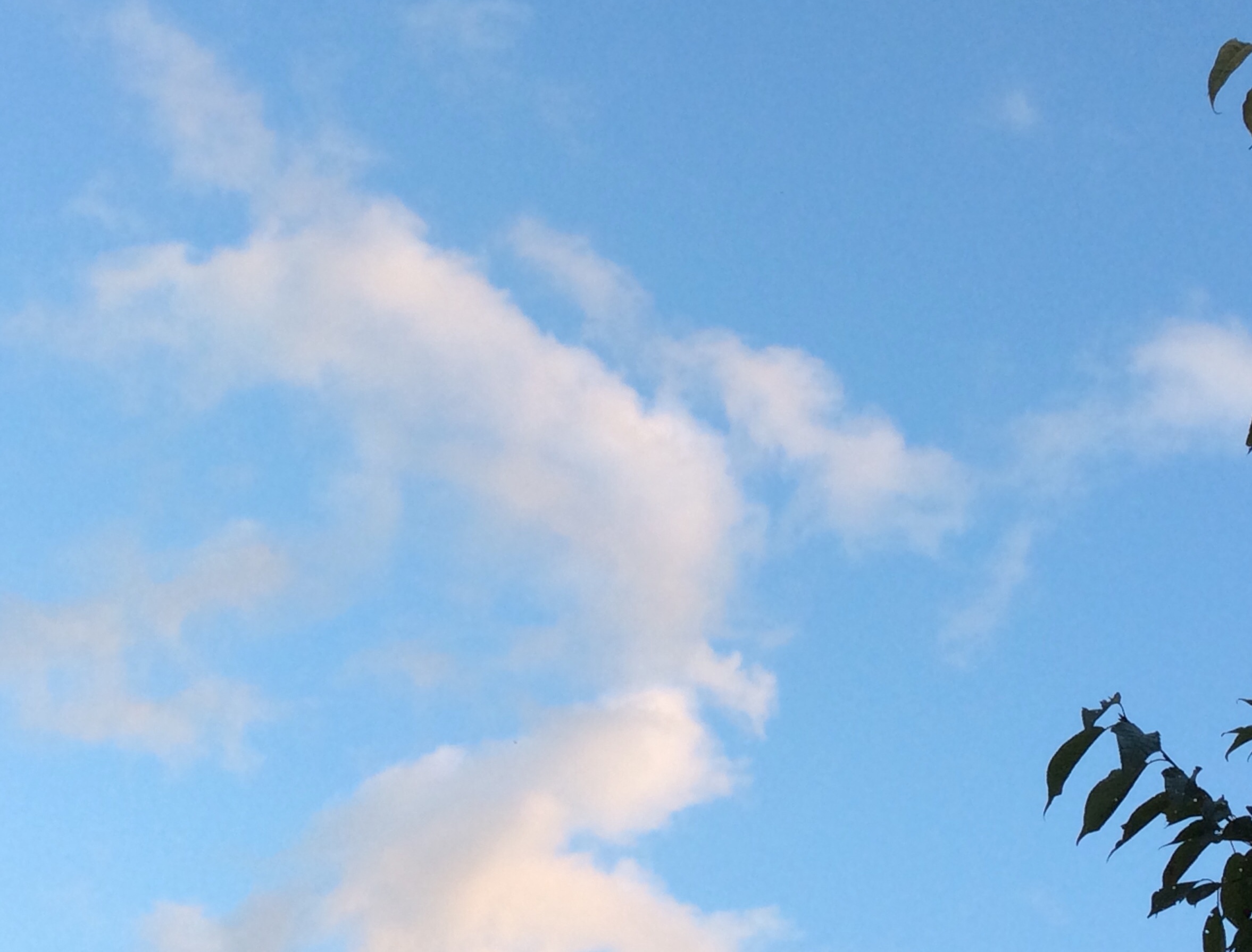 b0344816_23340662.jpeg