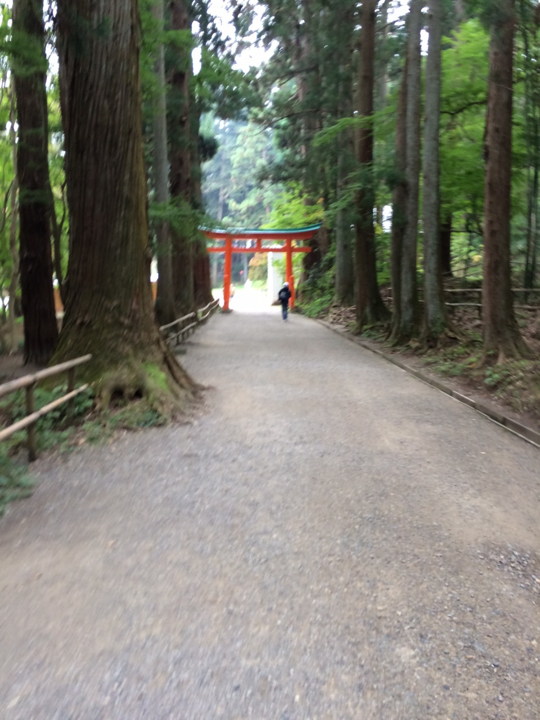 f0147821_20400956.jpeg