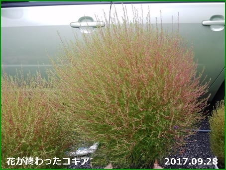 e0033229_18183670.jpg