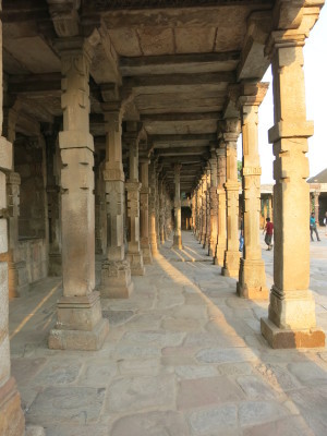 インド（デリー）とネパールの旅\'17_e0097130_16400429.jpg