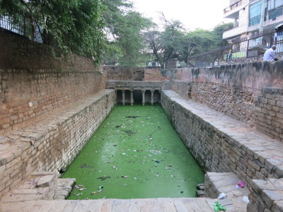インド（デリー）とネパールの旅\'17_e0097130_16415884.jpg