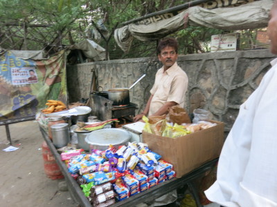 インド（デリー）とネパールの旅\'17_e0097130_16472782.jpg