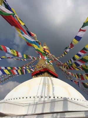 インド（デリー）とネパールの旅\'17_e0097130_17160642.jpg