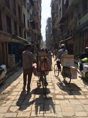 インド（デリー）とネパールの旅\'17_e0097130_17254500.jpg