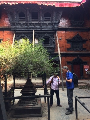 インド（デリー）とネパールの旅\'17_e0097130_17302204.jpg