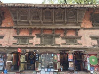 インド（デリー）とネパールの旅\'17_e0097130_17361666.jpg