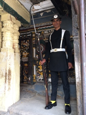 インド（デリー）とネパールの旅\'17_e0097130_17383596.jpg