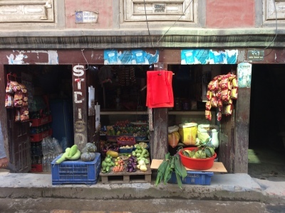 インド（デリー）とネパールの旅\'17_e0097130_17415415.jpg