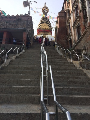 インド（デリー）とネパールの旅\'17_e0097130_17433684.jpg