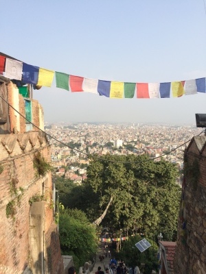 インド（デリー）とネパールの旅\'17_e0097130_17434912.jpg