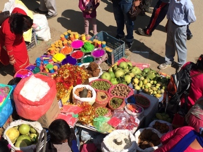 インド（デリー）とネパールの旅\'17_e0097130_17464908.jpg