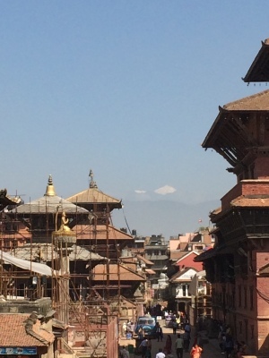 インド（デリー）とネパールの旅\'17_e0097130_17472311.jpg