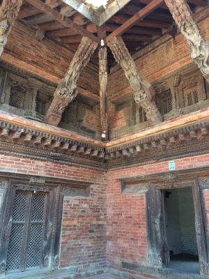 インド（デリー）とネパールの旅\'17_e0097130_17512396.jpg