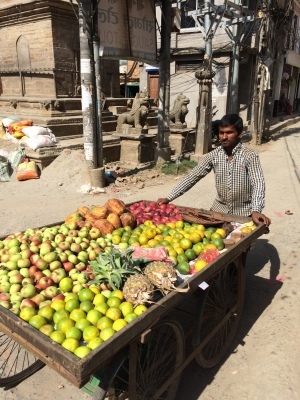 インド（デリー）とネパールの旅\'17_e0097130_17582783.jpg