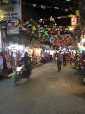 インド（デリー）とネパールの旅\'17_e0097130_18012759.jpg