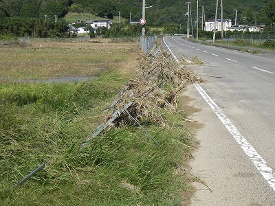 ２０１７年台風第２１号_e0182430_18394157.jpg